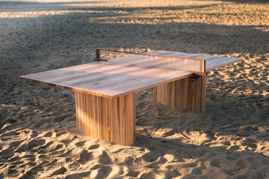 the table-tennis table
