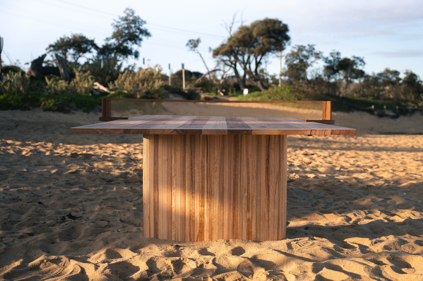 the table-tennis table