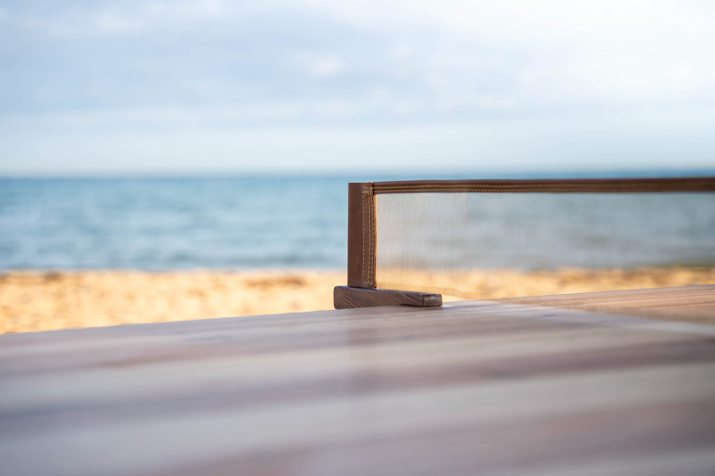 the table tennis net