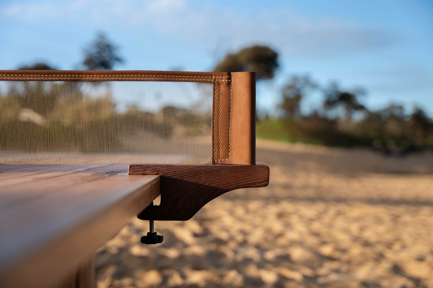 the table tennis net