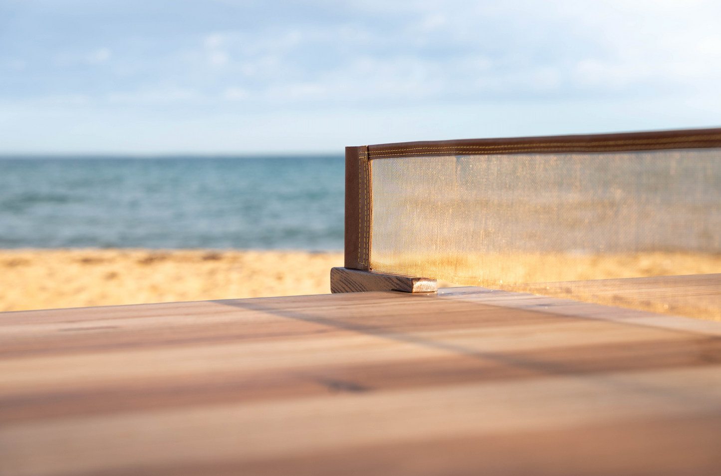 the table tennis net