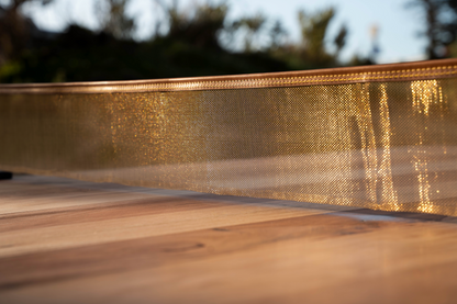 the table-tennis table