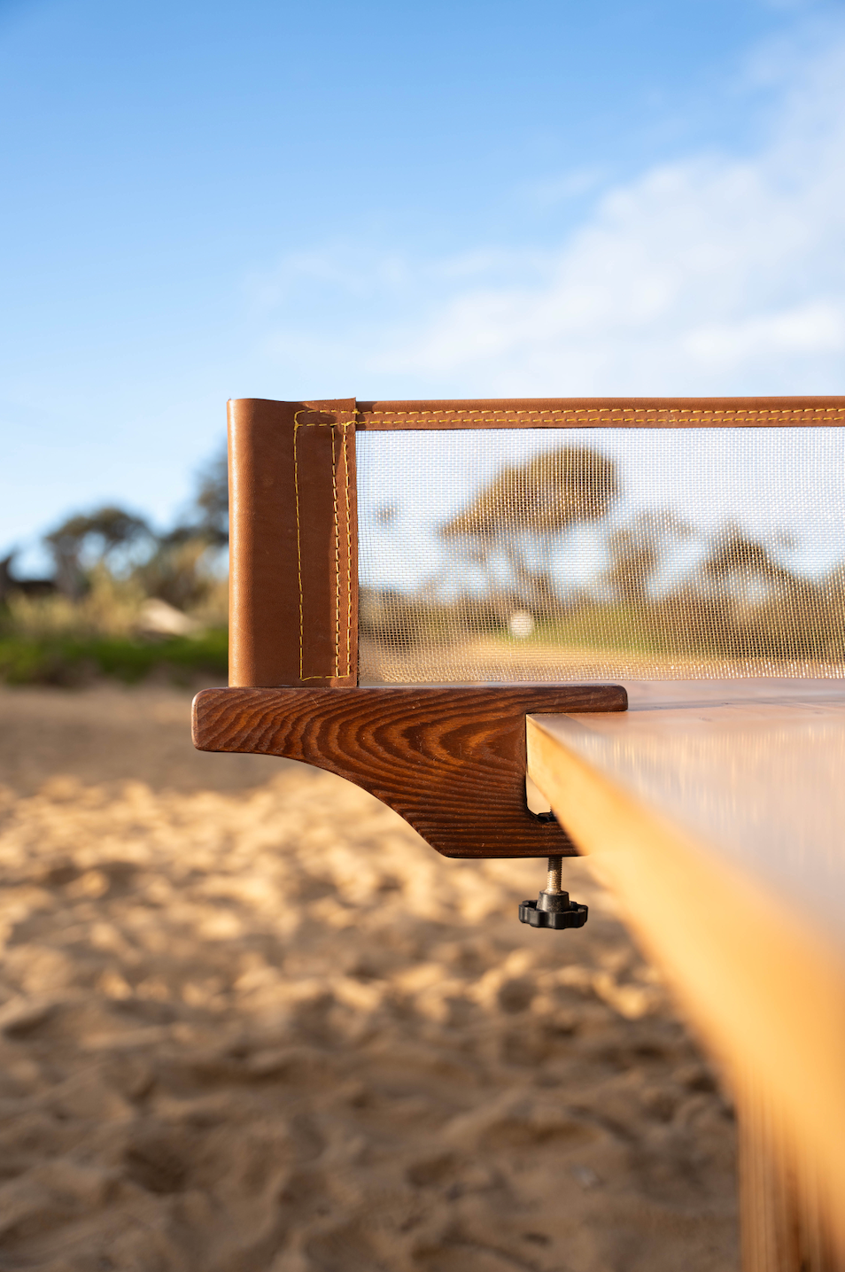 the table tennis net
