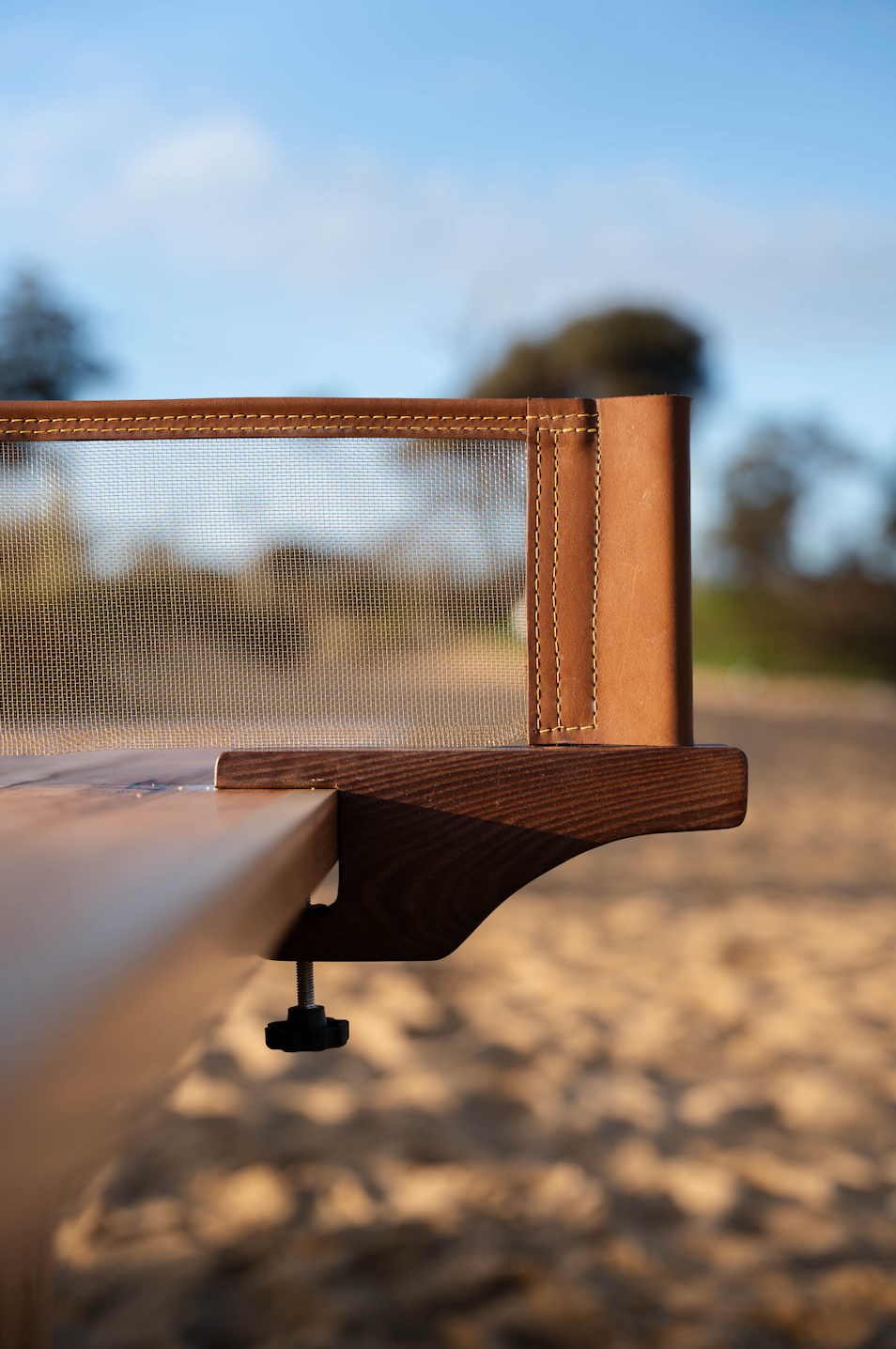 the table tennis net